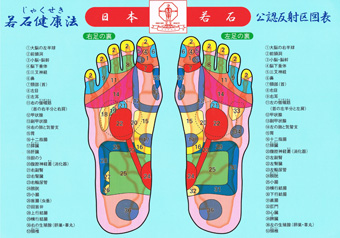 若石健康法　公認反射区図表